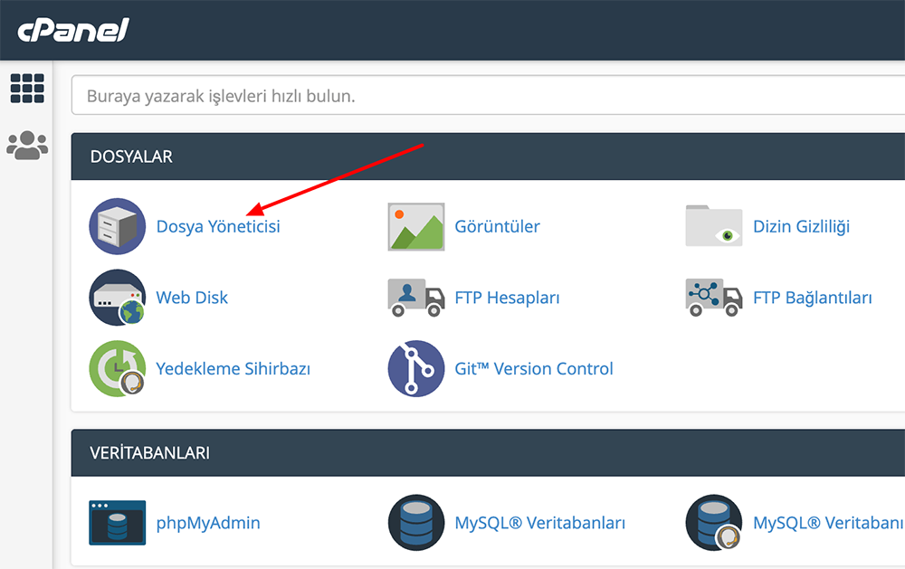 cPanel Manuel Yedek Alma.