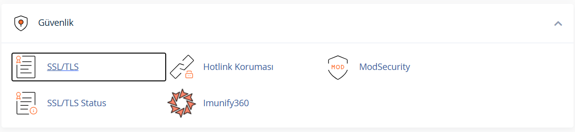 SSL/TLS Status Bölümüne Girin.